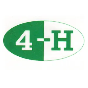 4-H Oval Temporary Tattoos (Pack of 10)