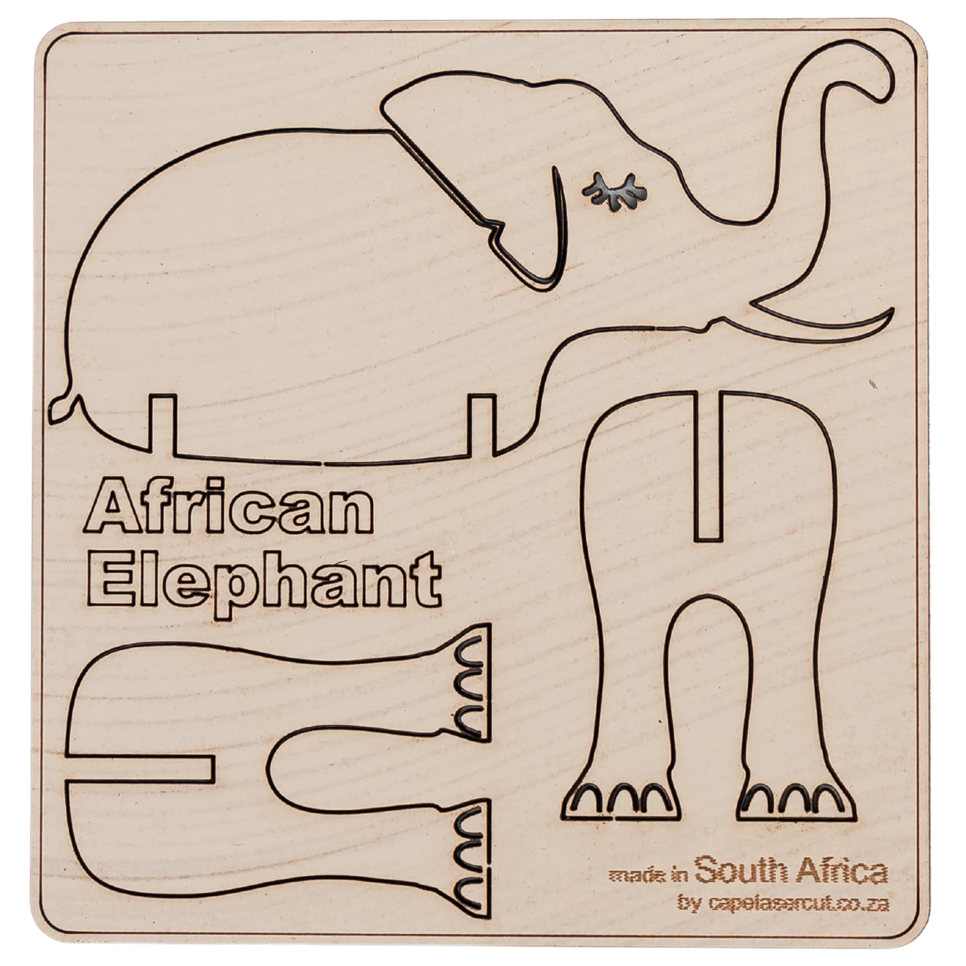 Animal Flat Pack-Various Designs