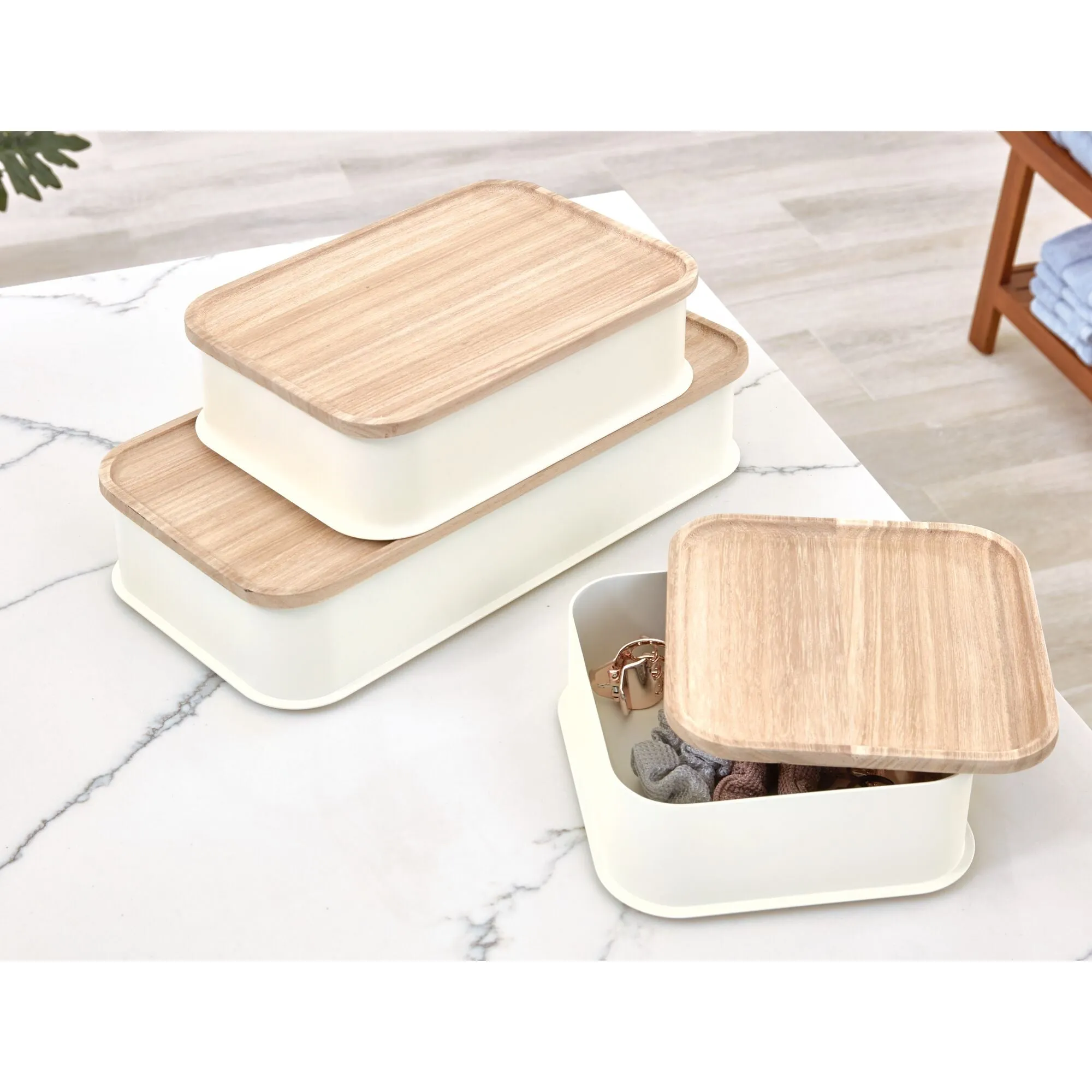 iDesign Eco BPA-Free Plastic Medium Lidded Storage Bin, Coconut/Wood