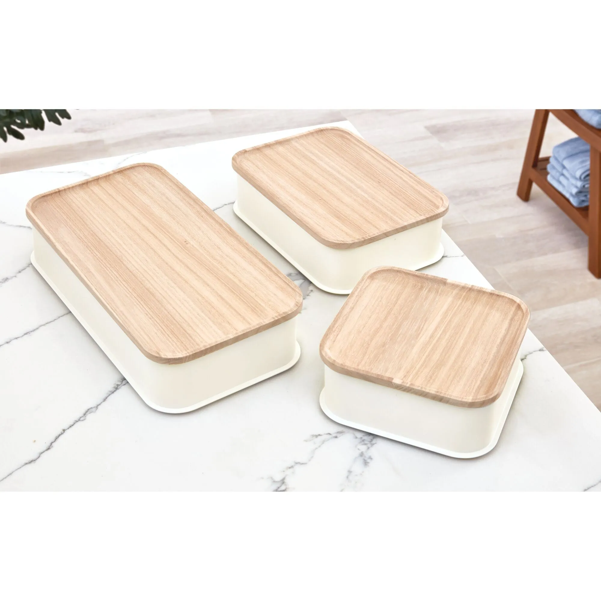iDesign Eco BPA-Free Plastic Medium Lidded Storage Bin, Coconut/Wood