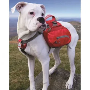 Kurgo Baxter Pack